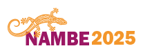 AVS-NAMBE 2025 207x80